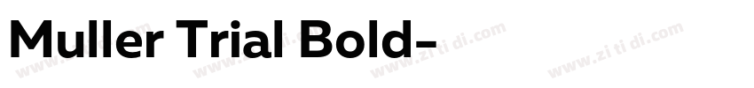 Muller Trial Bold字体转换